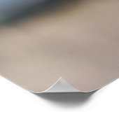 Blaubeeren-Plakat Poster (Ecke)