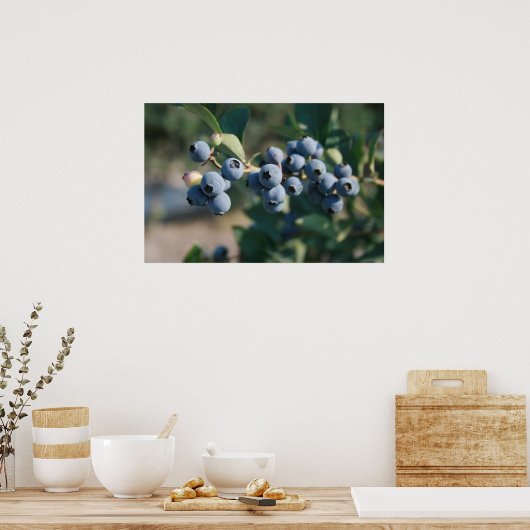 Blaubeeren-Plakat Poster (Küche)