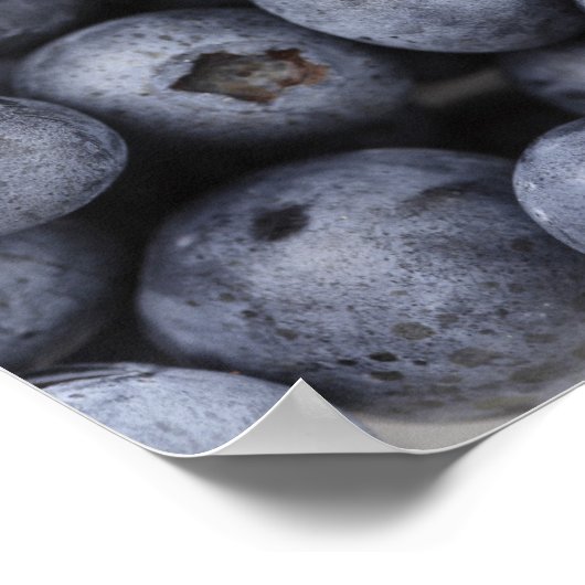 Blaubeeren Poster (Ecke)