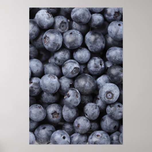Blaubeeren Poster (Vorne)