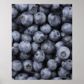 Blaubeeren Poster (Vorne)