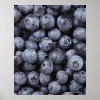 Blaubeeren Poster