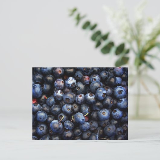 Blaubeeren Postkarte (Stehend Vorderseite)