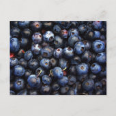 Blaubeeren Postkarte (Vorderseite)