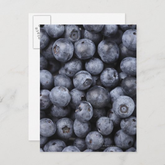 Blaubeeren Postkarte (Vorne/Hinten)