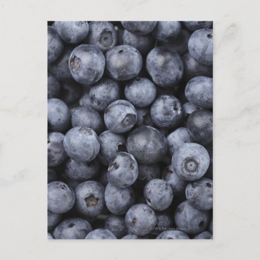 Blaubeeren Postkarte (Vorderseite)