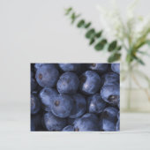 Blaubeeren! Postkarte (Stehend Vorderseite)