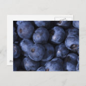 Blaubeeren! Postkarte (Vorne/Hinten)