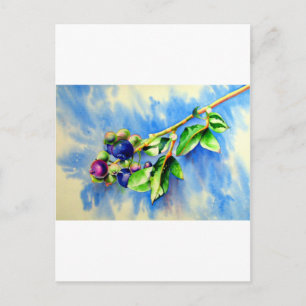 Blaubeeren Postkarte