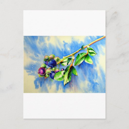 Blaubeeren Postkarte (Vorderseite)