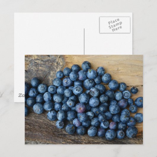 Blaubeeren Postkarte (Vorne/Hinten)