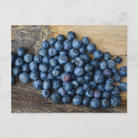 Blaubeeren Postkarte (Vorderseite)