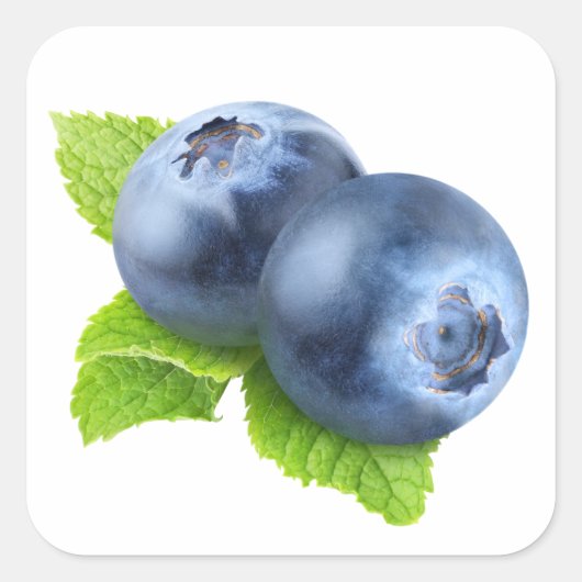 Blaubeeren Quadratischer Aufkleber (Vorderseite)