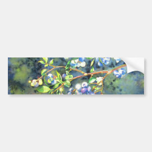 Blaubeeren, romantische Früchte Aquarellmalerei Autoaufkleber