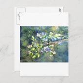 Blaubeeren, romantische Früchte Aquarellmalerei Postkarte (Vorne/Hinten)