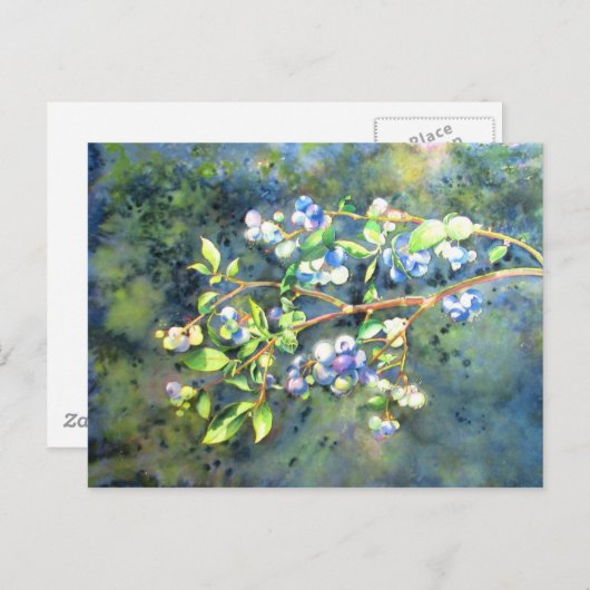 Blaubeeren, romantische Früchte Aquarellmalerei Postkarte (Vorne/Hinten)