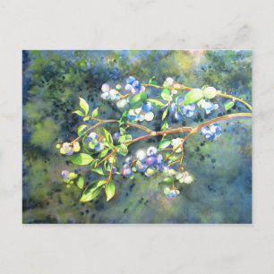 Blaubeeren, romantische Früchte Aquarellmalerei Postkarte