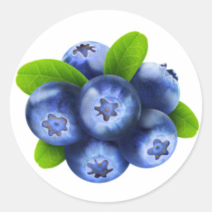 Blaubeeren Runder Aufkleber