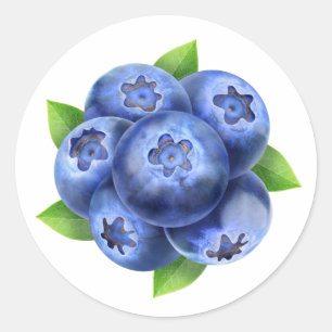 Blaubeeren-Rundzusammensetzung Runder Aufkleber
