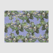 Blaubeeren! Seidenpapier (Vorderseite)