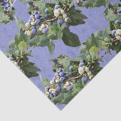 Blaubeeren! Seidenpapier (Ausschnitt)