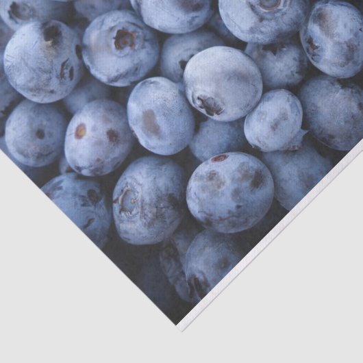 Blaubeeren Seidenpapier (Ausschnitt)