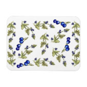 Blaubeeren und Blätter auf Dampfweinmagnet Magnet (Horizontal)