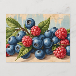 Blaubeeren und Himbeeren im Vintage-Stil Postkarte