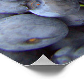 Blaubeerfotografie Poster (Ecke)