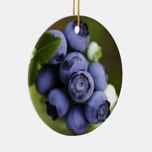 Blaubeerliebhaber Keramikornament (Rechts)