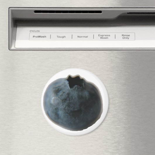 Blaubeermagnet Magnet (In Situ (Geschirrspüler))
