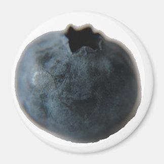 Blaubeermagnet Magnet