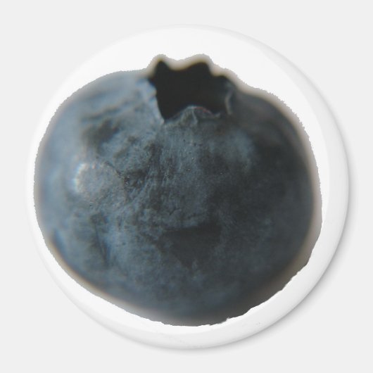 Blaubeermagnet Magnet (Vorne)