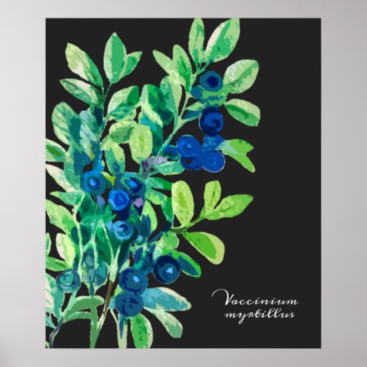 Blaubeermalerei Poster (Vorne)