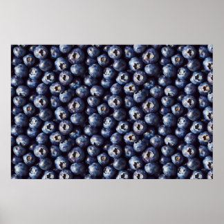 Blaubeermuster Poster