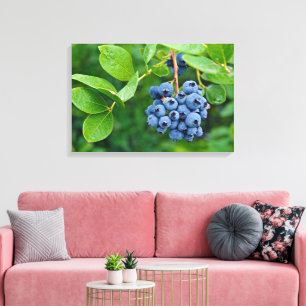 Blaubeerstrauch auf Busch Leinwanddruck