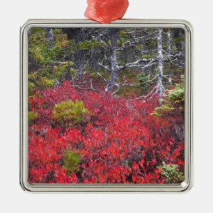 Blaubeersträucher und Kiefern Ornament Aus Metall