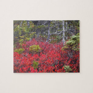 Blaubeersträucher und Kiefern Puzzle
