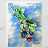 Blaubeerzweig, Aquarellmalerei (Vorne/Hinten)