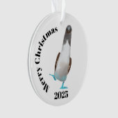 Blaubeinige Biddy Ornament (Vorderseite)