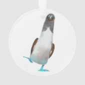 Blaubeinige Biddy Ornament (Rückseite)