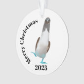 Blaubeinige Biddy Ornament (Vorderseite)