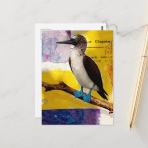 Blaubeinige Vogel-Collage Postkarte