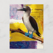 Blaubeinige Vogel-Collage Postkarte (Vorderseite)