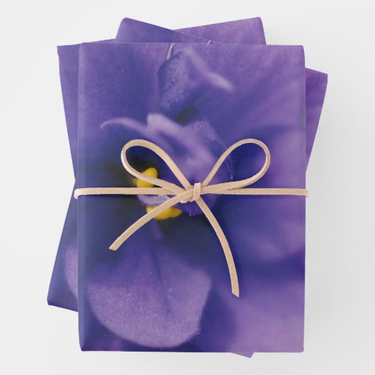 Blaublühende Blume von Violet Saintpaulia Zoomed Geschenkpapier Set (Beispiel)