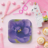 Blaublühende Blume von Violet Saintpaulia Zoomed Pappteller (Party)