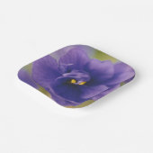 Blaublühende Blume von Violet Saintpaulia Zoomed Pappteller (Gewinkelt)