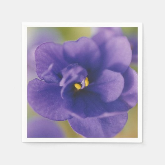 Blaublühende Blume von Violet Saintpaulia Zoomed Serviette (Vorderseite)