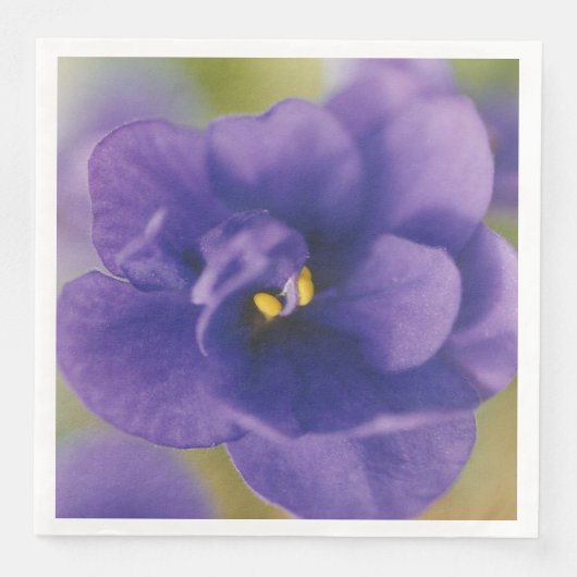Blaublühende Blume von Violet Saintpaulia Zoomed Serviette (Vorderseite)