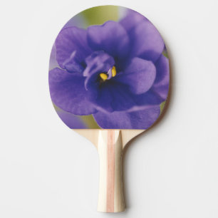 Blaublühende Blume von Violet Saintpaulia Zoomed Tischtennis Schläger